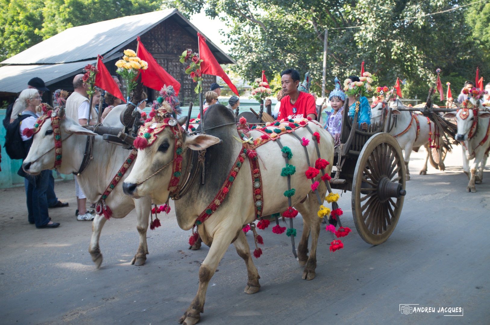 birmanie-108 (Grand).jpg